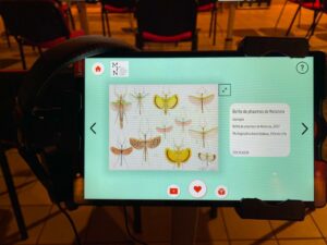 Micro-folie projet Aratice avec tablettes sur supports