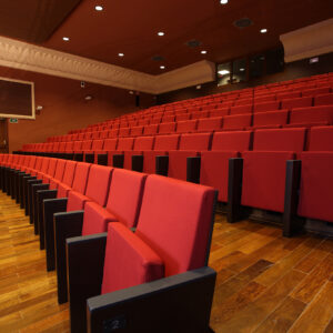 Pied fauteuil auditorium LIRA