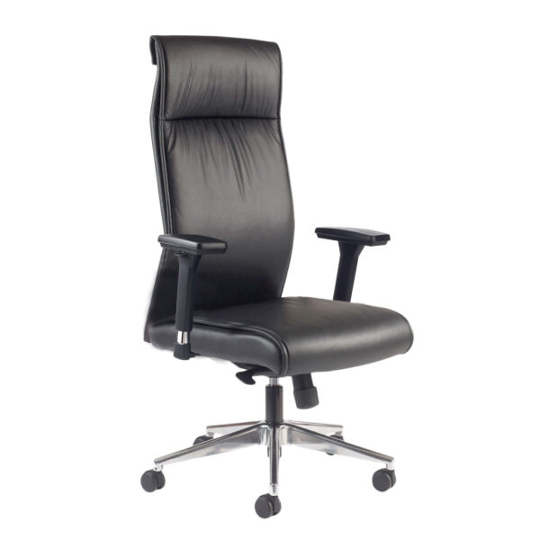 Fauteuil dossier Adel