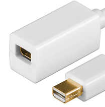Rallonge Mini DisplayPort